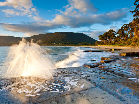 Cruise Ship Excursions & Tours-霍巴特必去景点