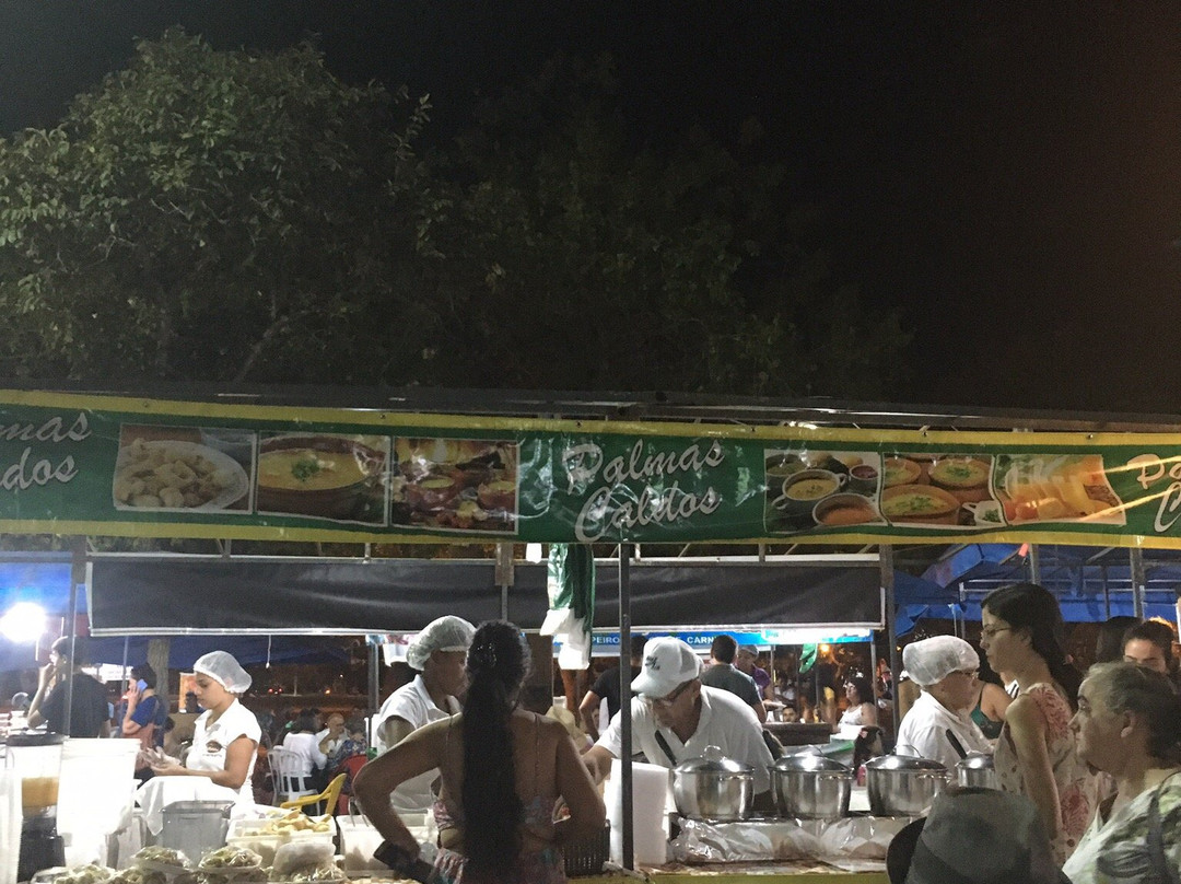 Feira do Bosque-Palmas必去景点