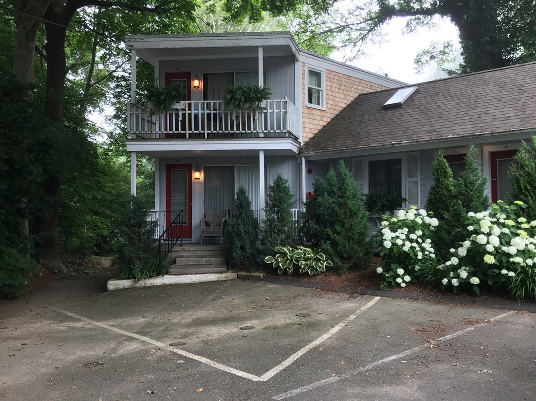 Treehouse Lodge主图