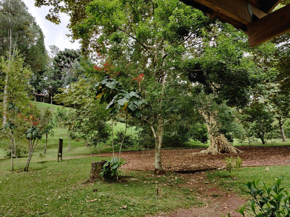 Jardin Botanico Francisco Javier Clavijero-哈拉帕必去景点