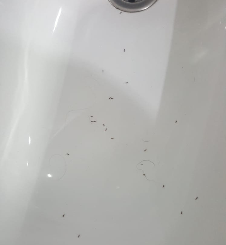 Hotel Carlos I主图