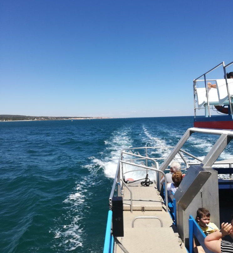 Catamaran Port Grusan-Gruissan必去景点