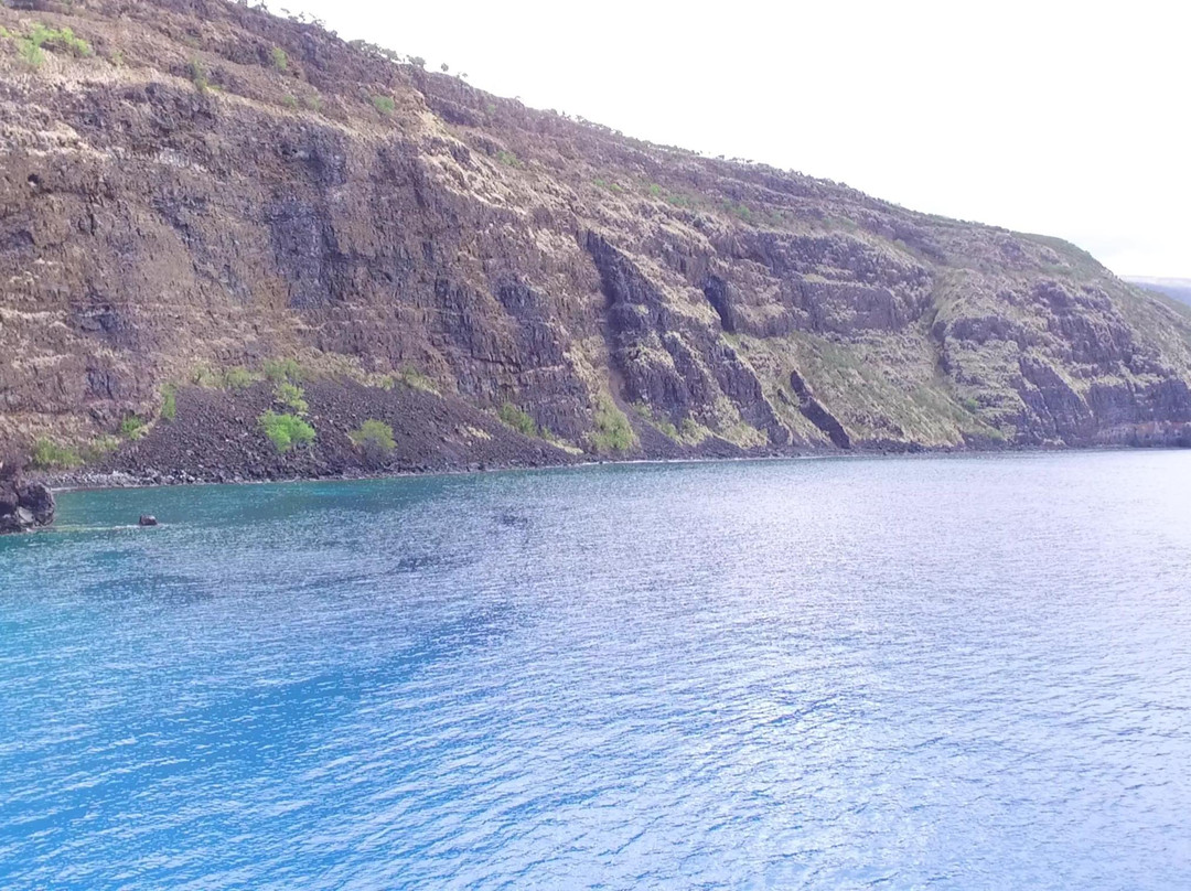 Captain Cook Snorkeling Cruises景点图片