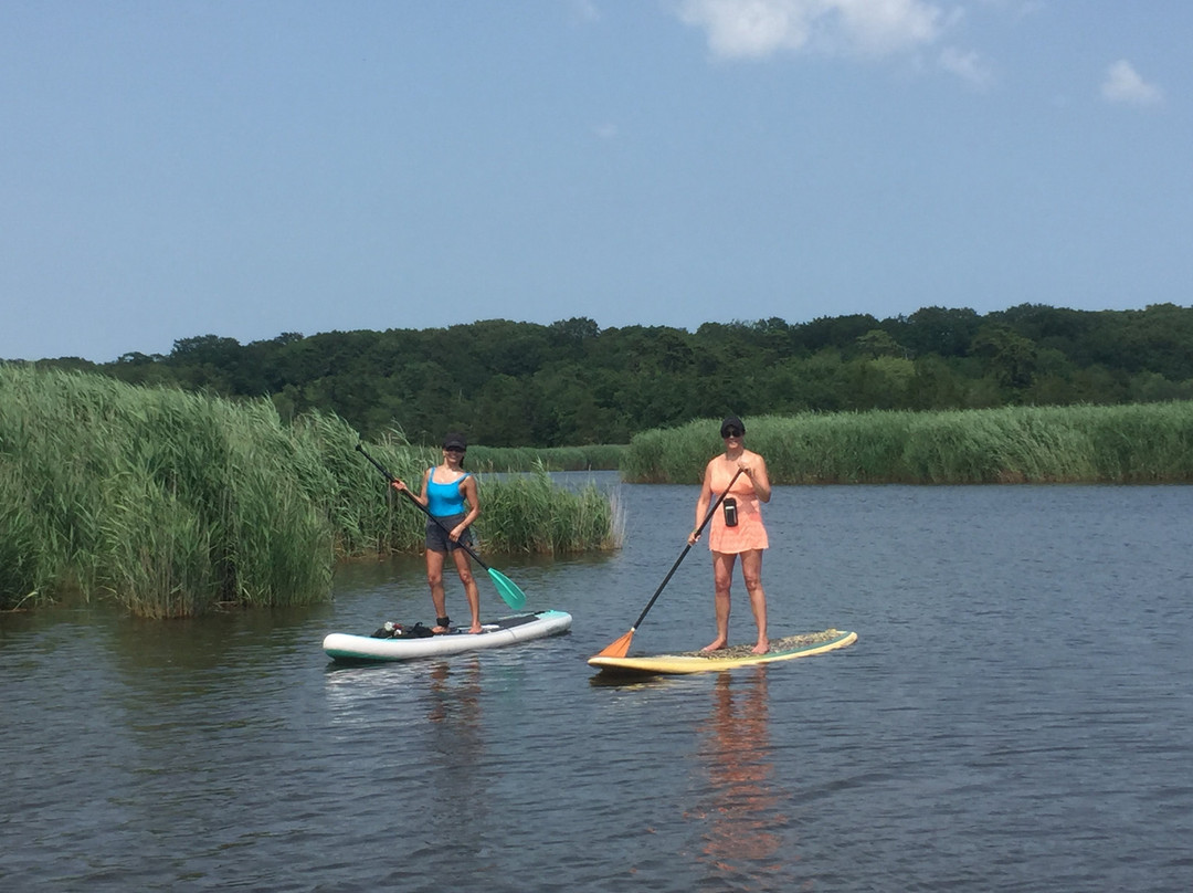 Summertime Surf景点图片