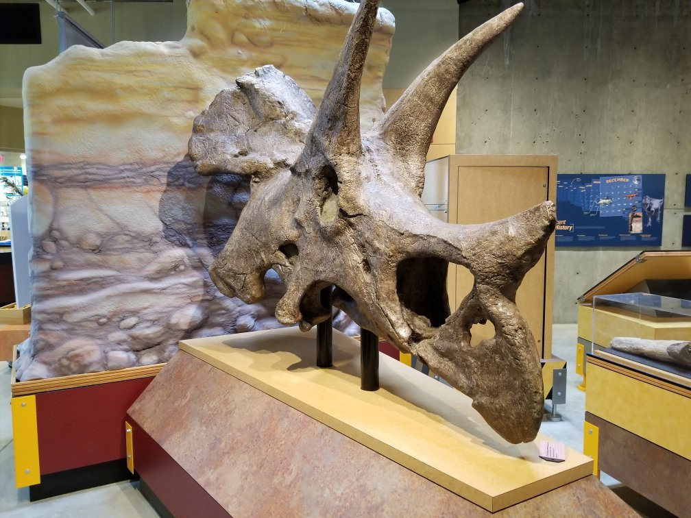 T. rex Discovery Centre-Eastend必去景点