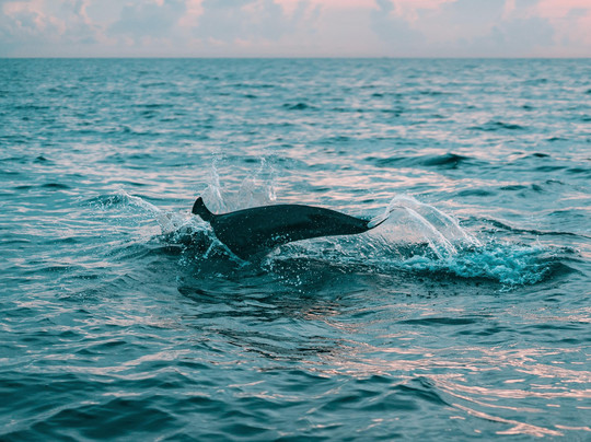 I.T Tours-因弗内斯必去景点