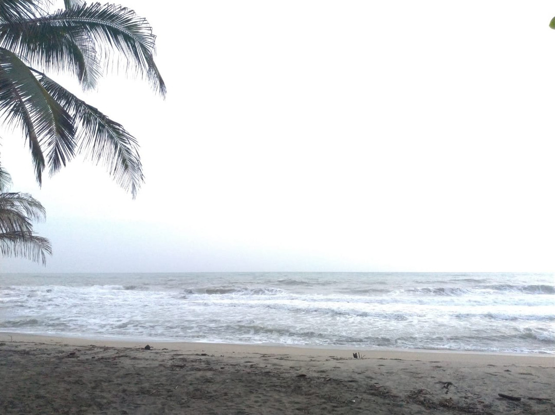 Mendihuaca Caribbean Resort主图