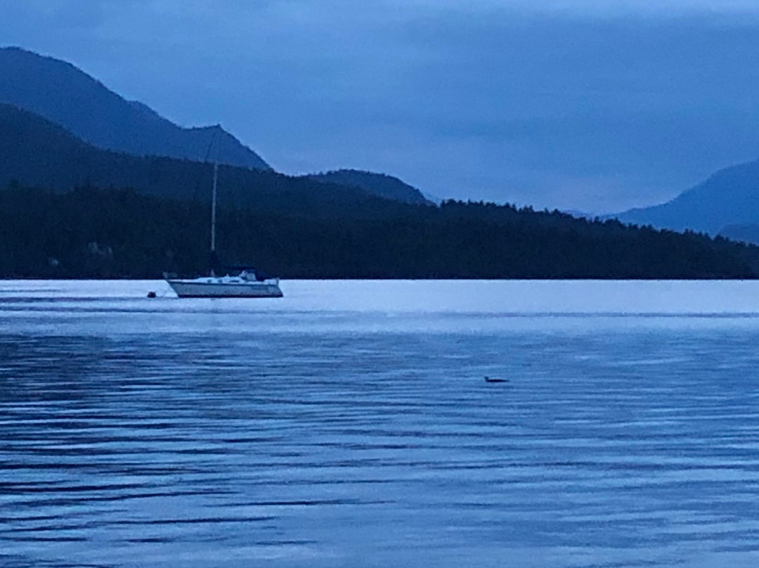 At The Shore B&B主图