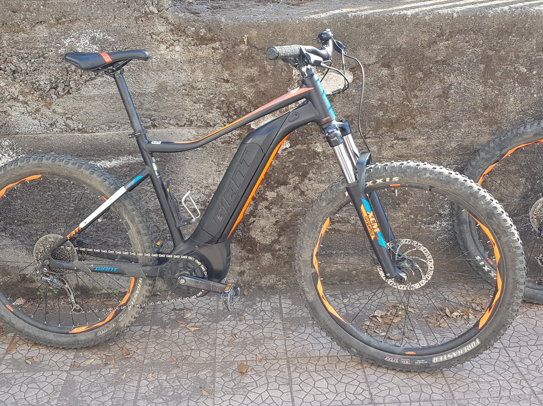Etna Bike Tours景点图片