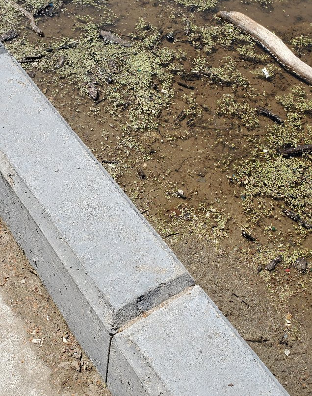 Lakeside Park Beach-圣凯瑟琳斯必去景点