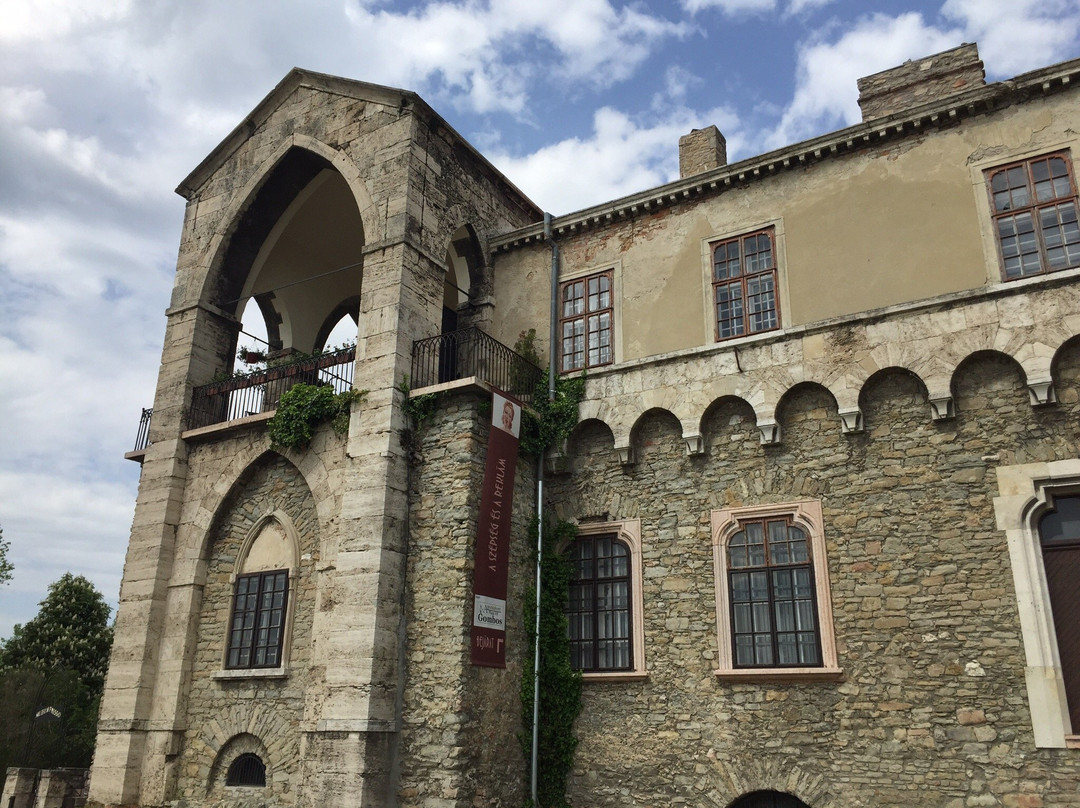 Kuny Domokos Museum at the Tata Castle-塔塔必去景点