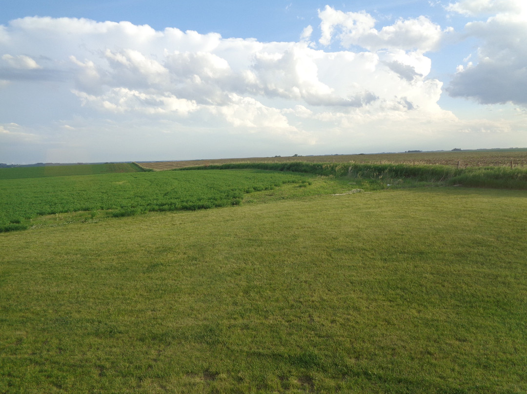 Cobblestone Inn & Suites - Holstein主图