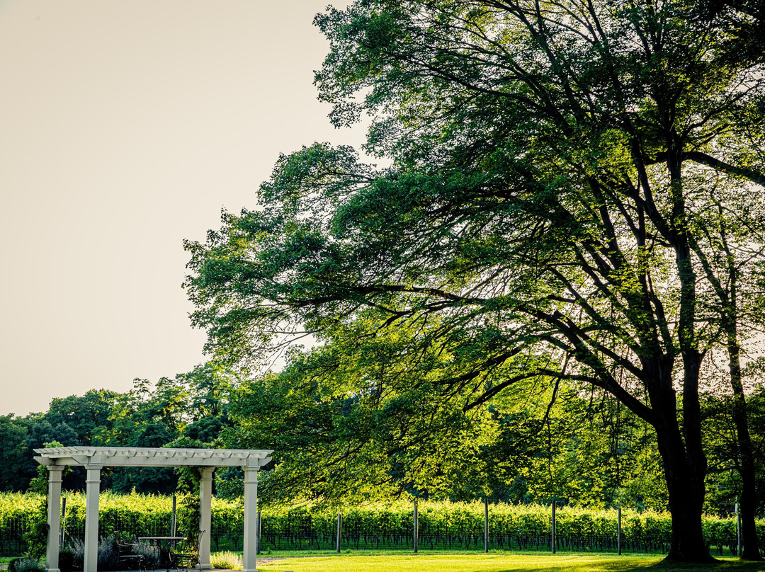 The Inn at Grace Winery主图