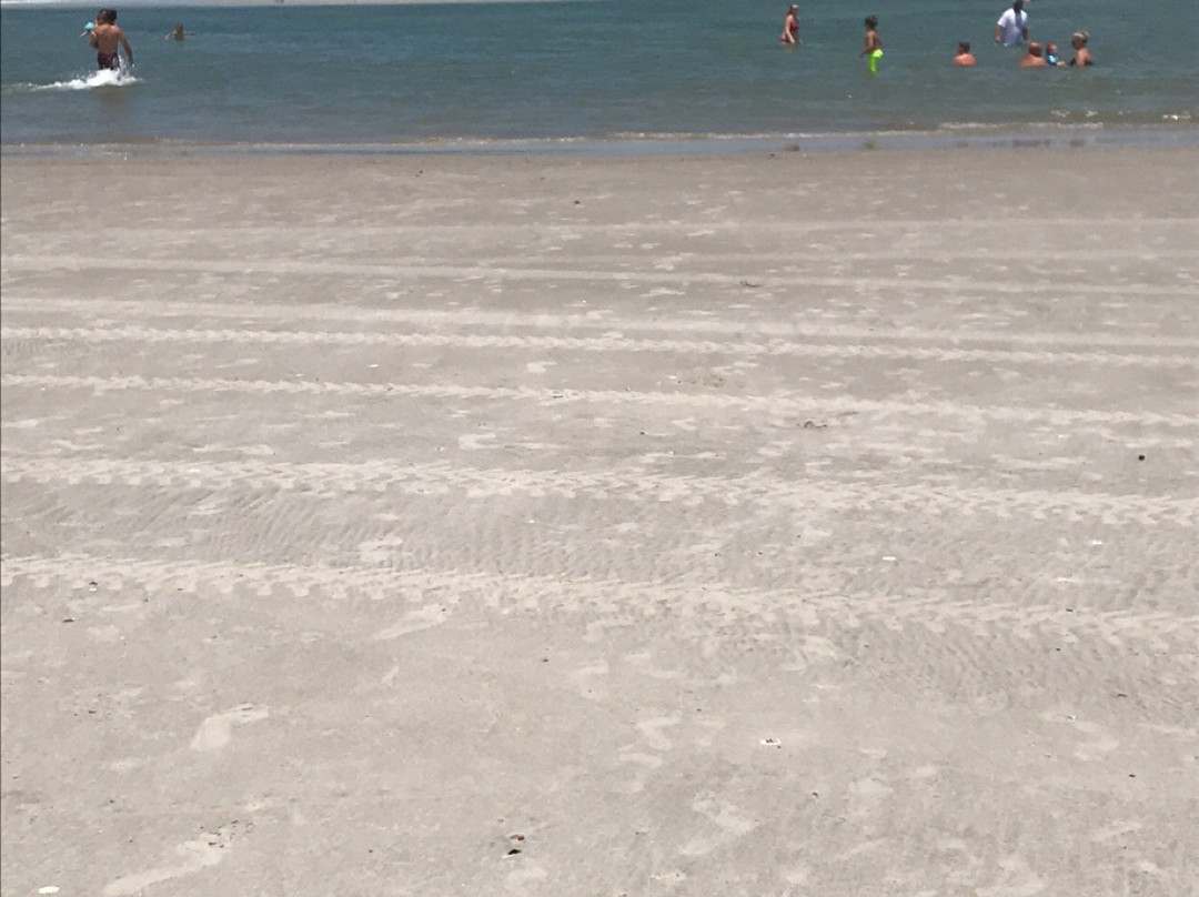 Huguenot Memorial Park-杰克逊维尔必去景点