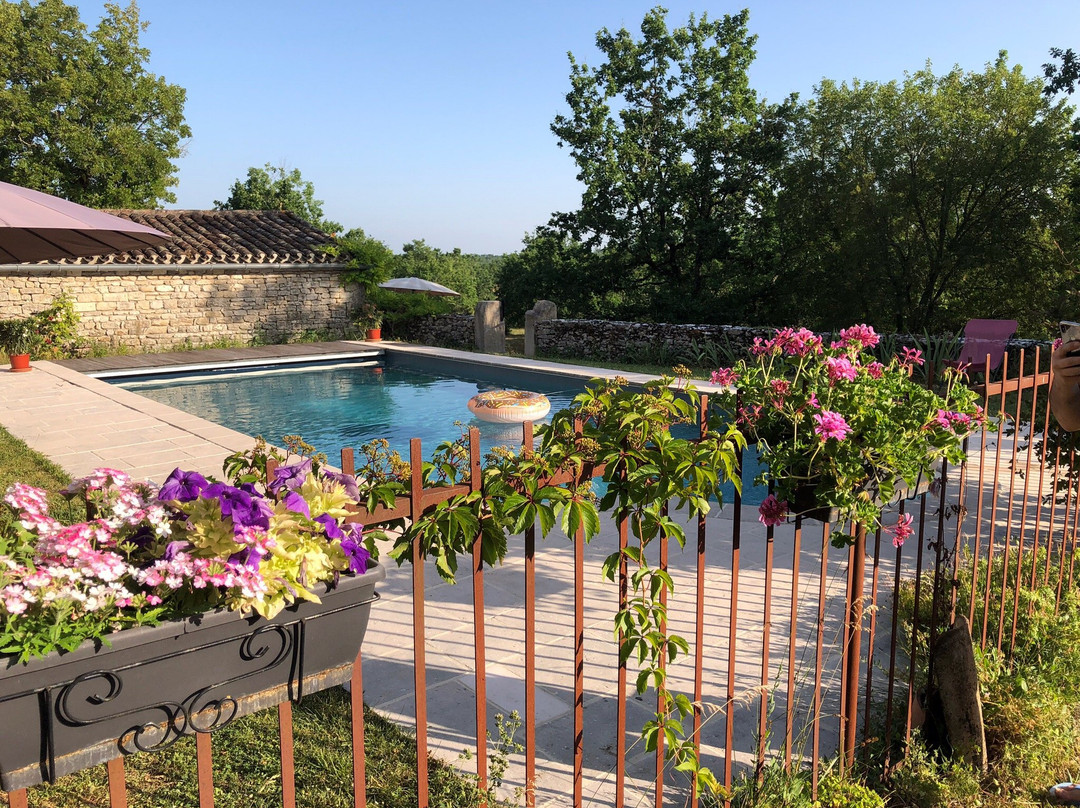 Chambres d' Hotes & Gîtes - La Vayssade - Spa, Piscine & Truffes主图