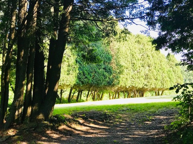 Catskill Animal Sanctuary主图