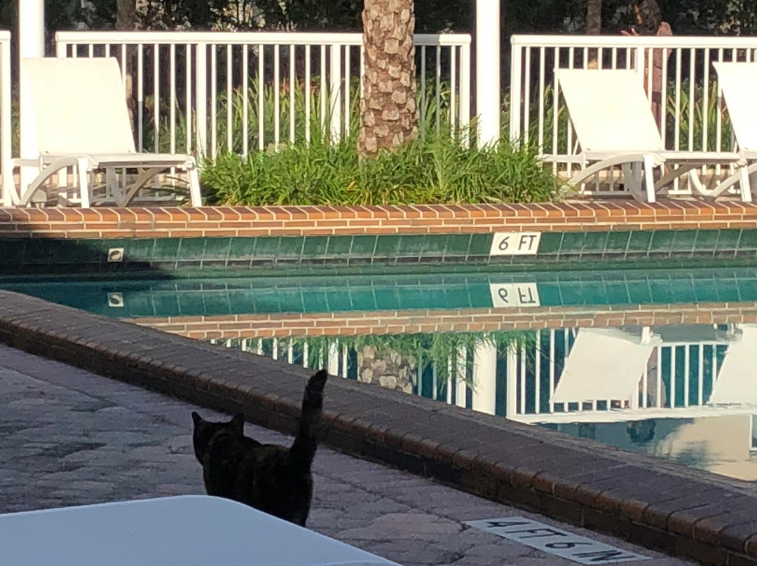 Ramada By Wyndham Miami Springs/miami International Airport主图