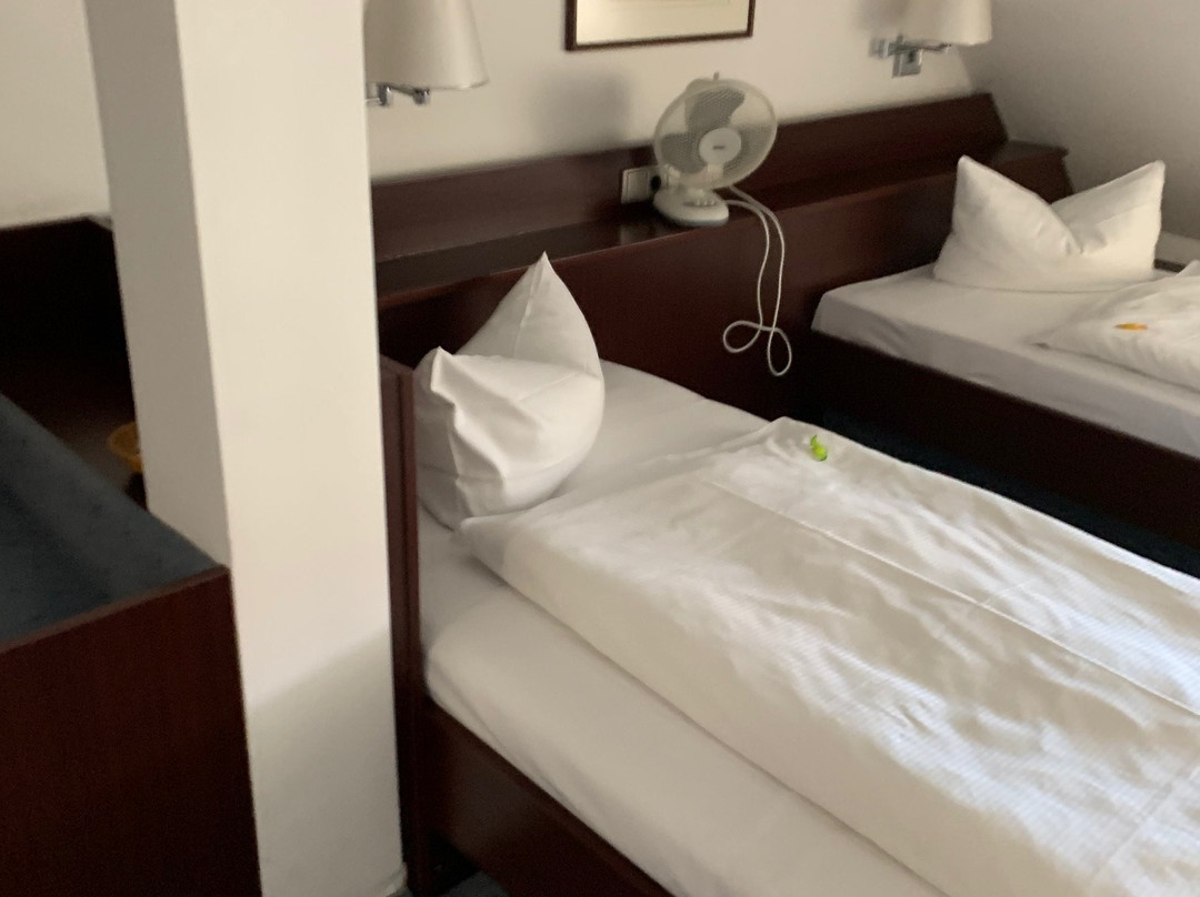 Hotel Goldener Adler主图