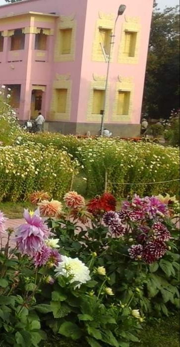 Ramakrishna Mission Vidyapith景点图片