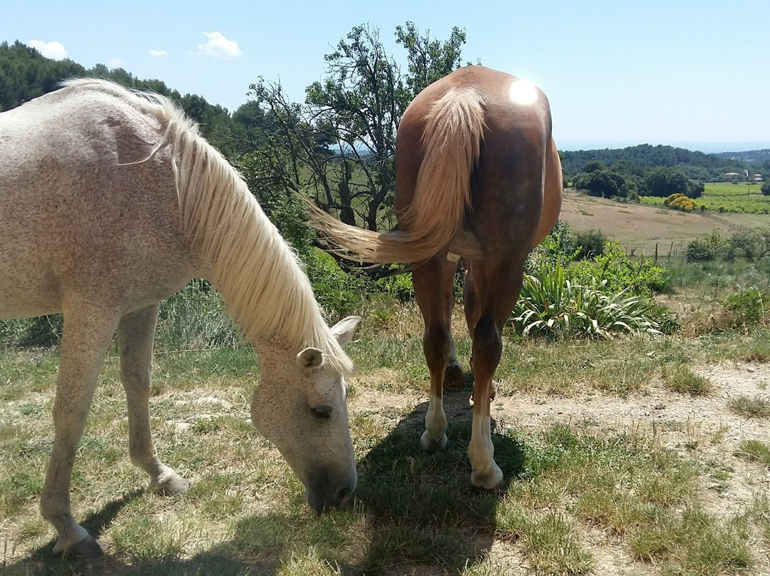 Domaine de Pierravon主图