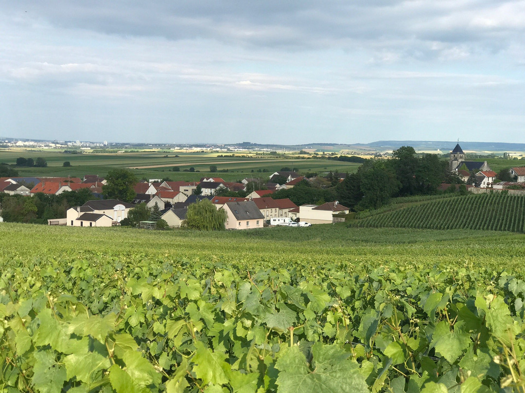 Le Clos des Terres Soudees主图