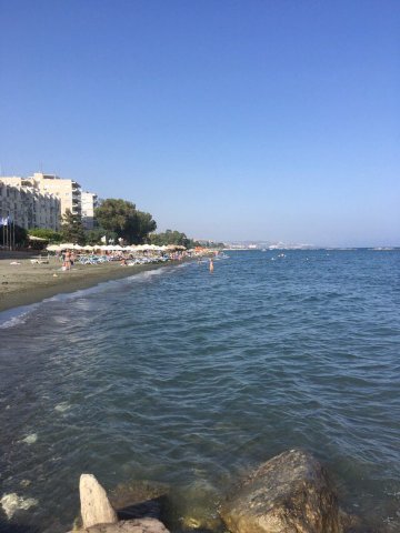 纳瓦里亚酒店-泳池