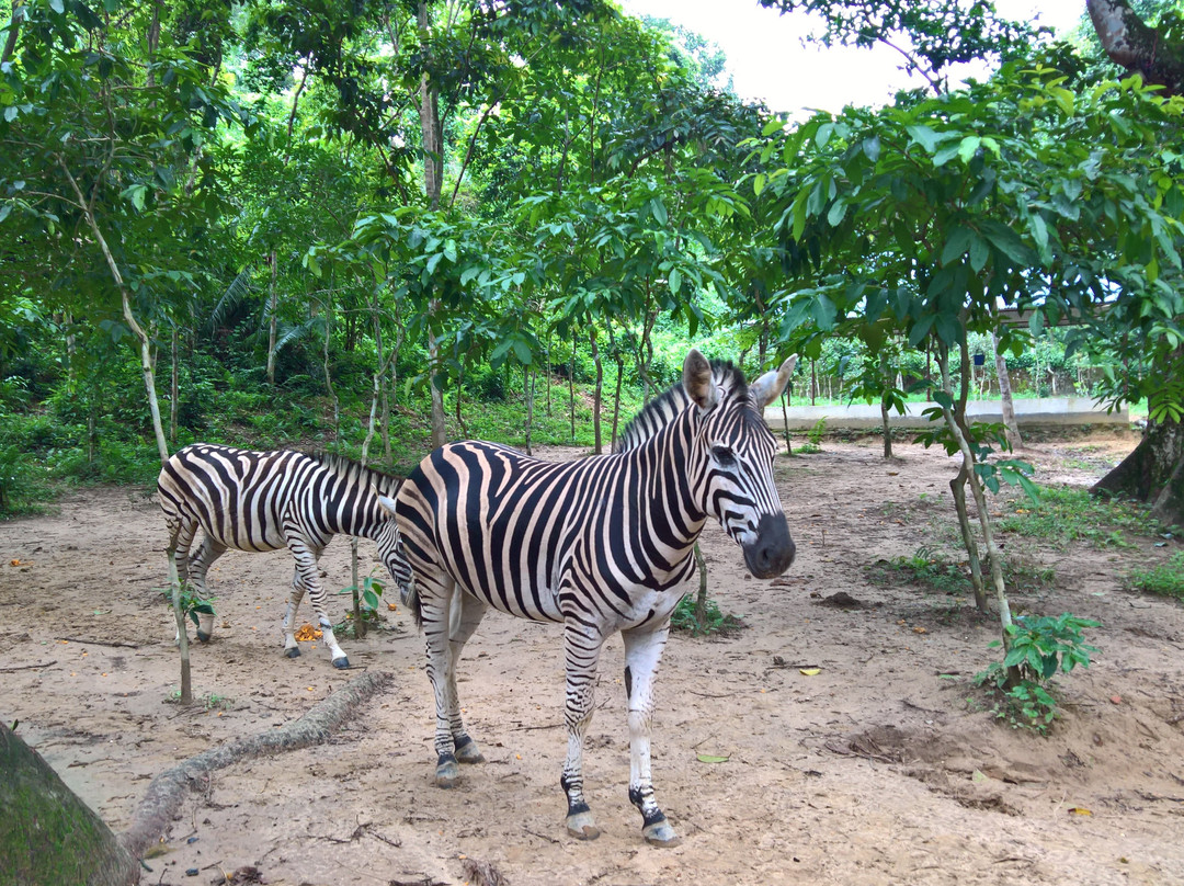 Tilagor Eco Park-锡尔赫特必去景点