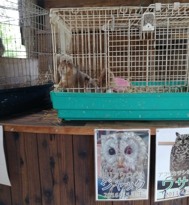 Very Belly Farm Nishiwaki-西胁市必去景点