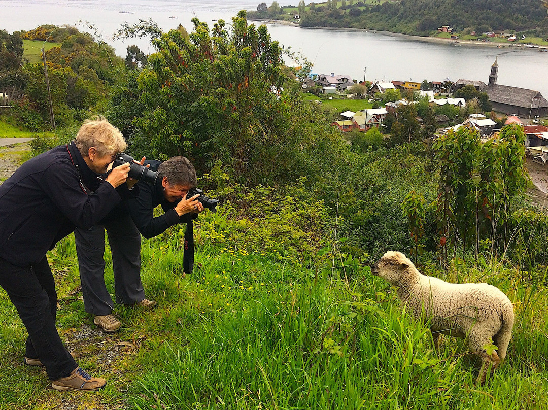 Chiloétnico-Castro必去景点