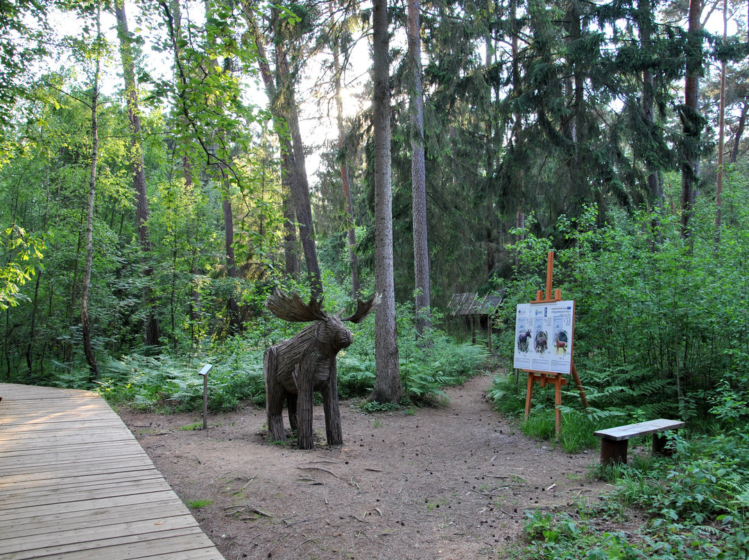 Korolevskiy Bor景点图片