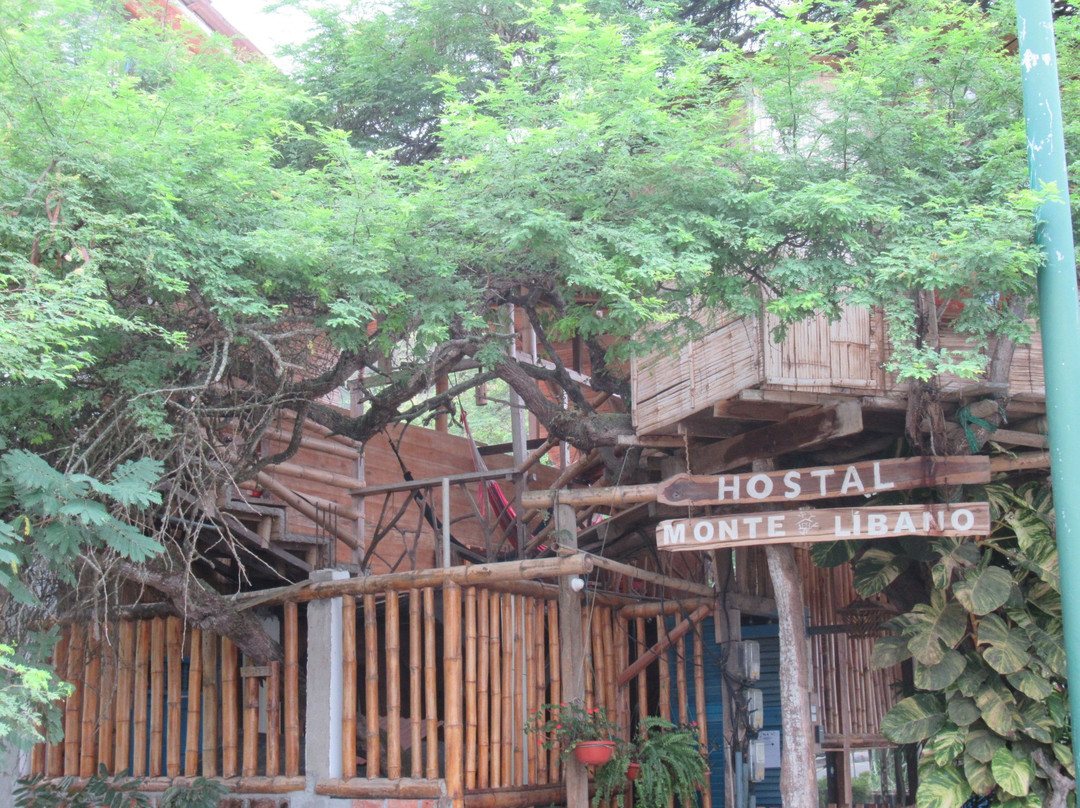 Monte Líbano Hostal主图
