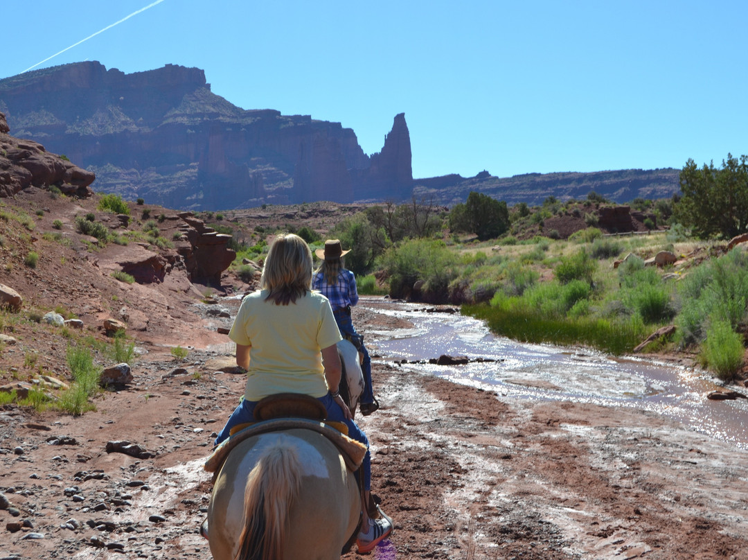 Moab Horses景点图片