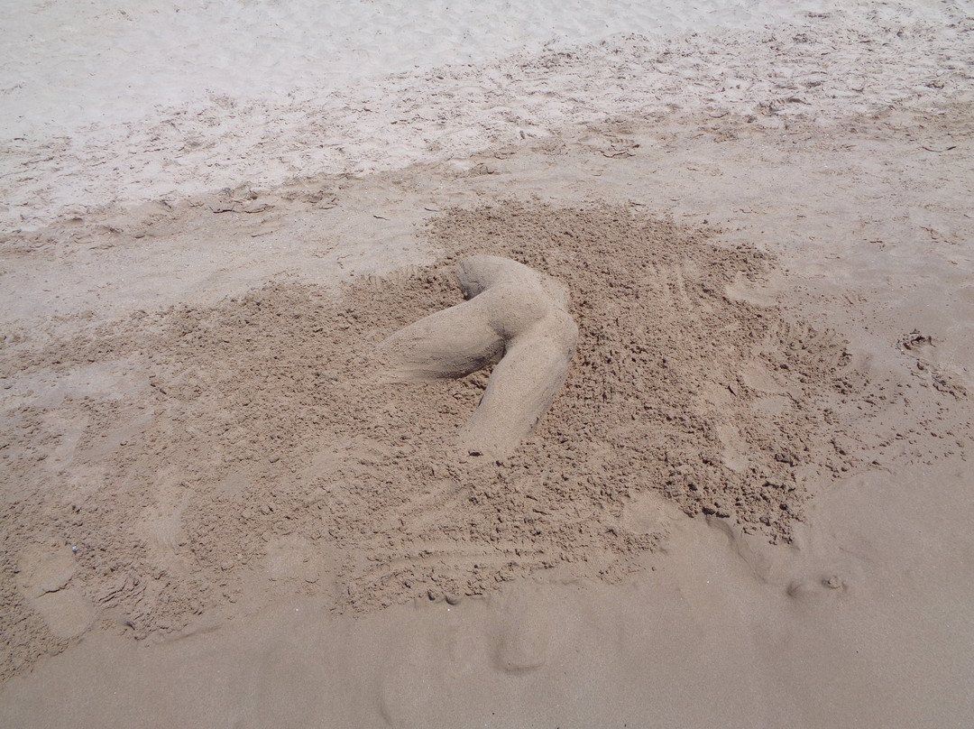 Playa La Savinosa景点图片