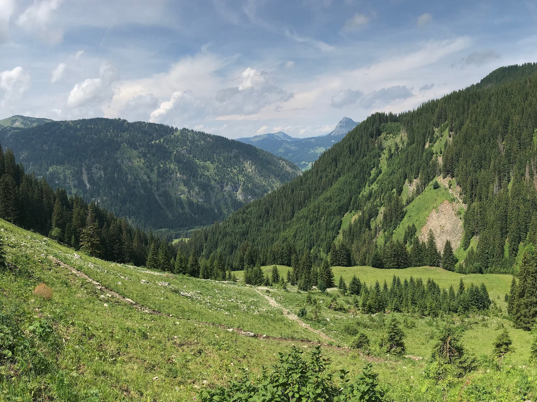 Höhen und Sonnenwanderweg景点图片