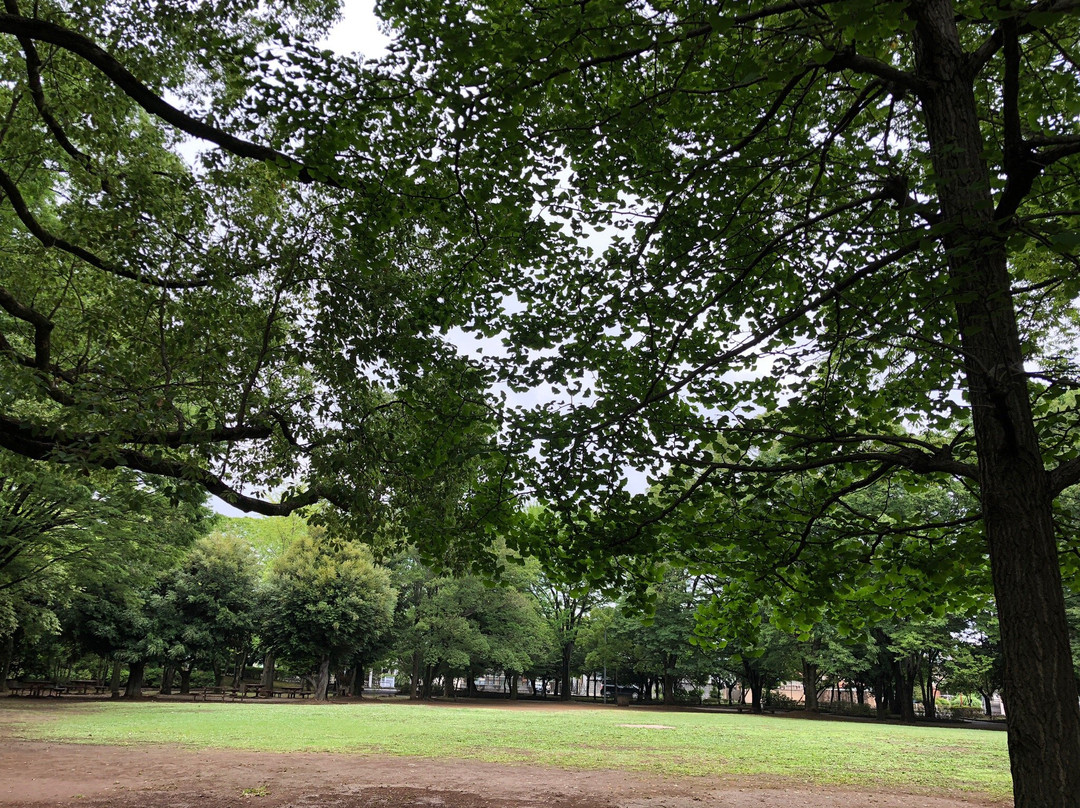 Chuo Park景点图片