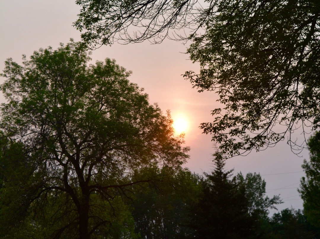 Hayward旅游攻略图片