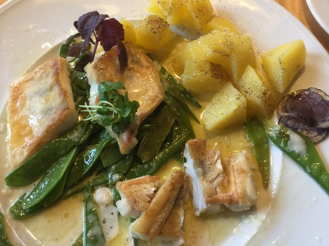 Brauereigasthof Schneider主图