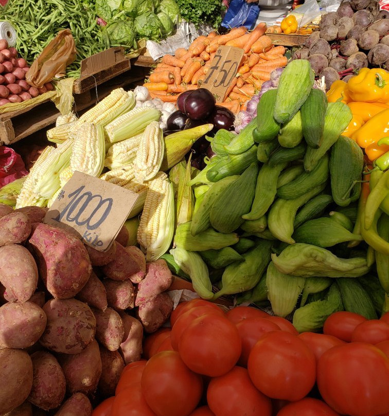 Terminal Agropecuario de Iquique - Region de Tarapaca-伊基克必去景点