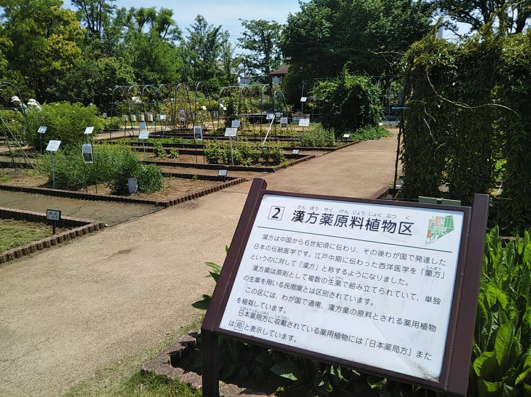 Tokyo Medicobotanical Garden-小平市必去景点