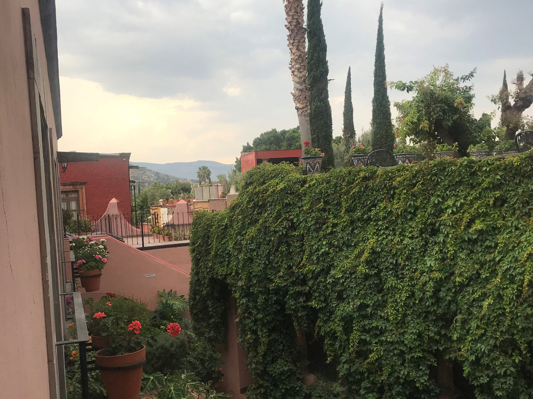 Casa Rosada Hotel主图