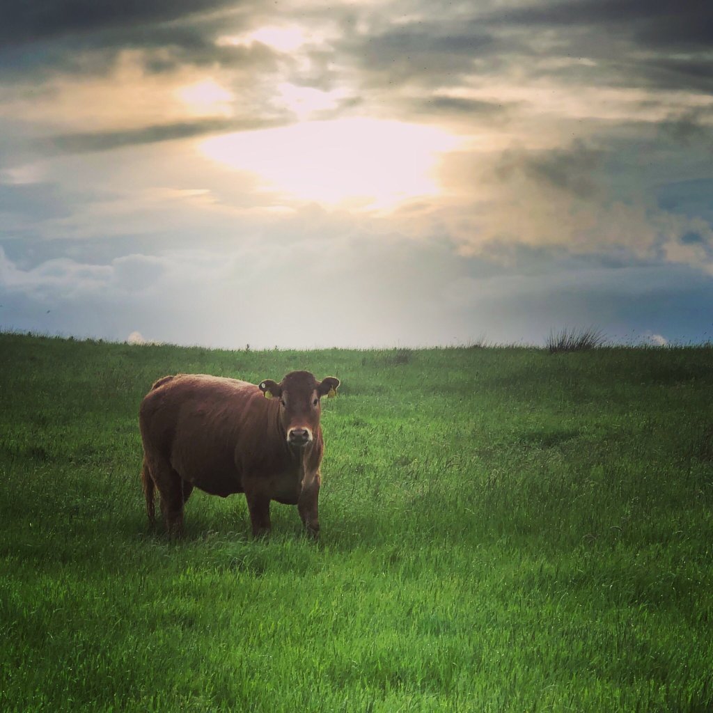 St Catherines B&B-官方