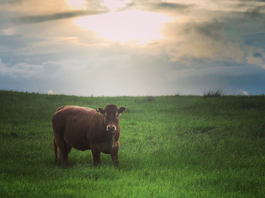 St Catherines B&B主图