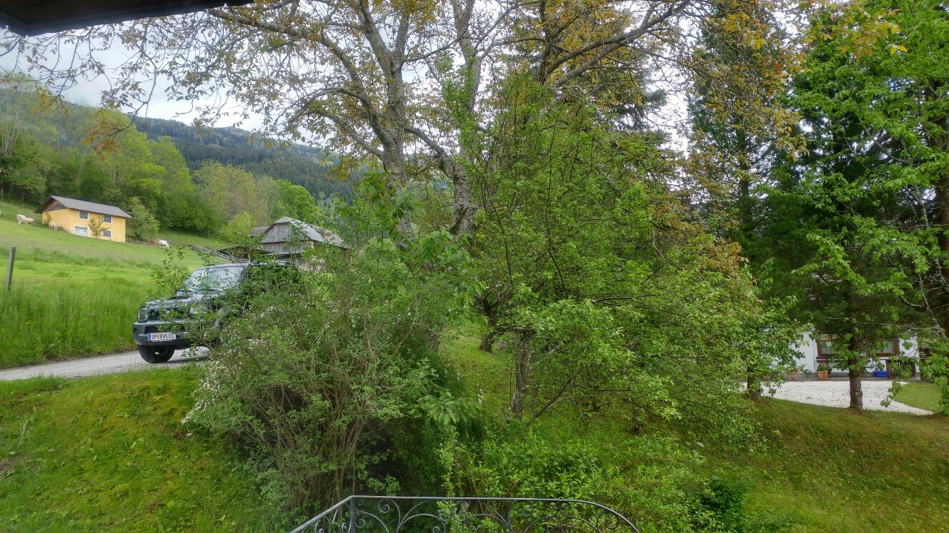 Naturhotel Alpenrose-酒店景观