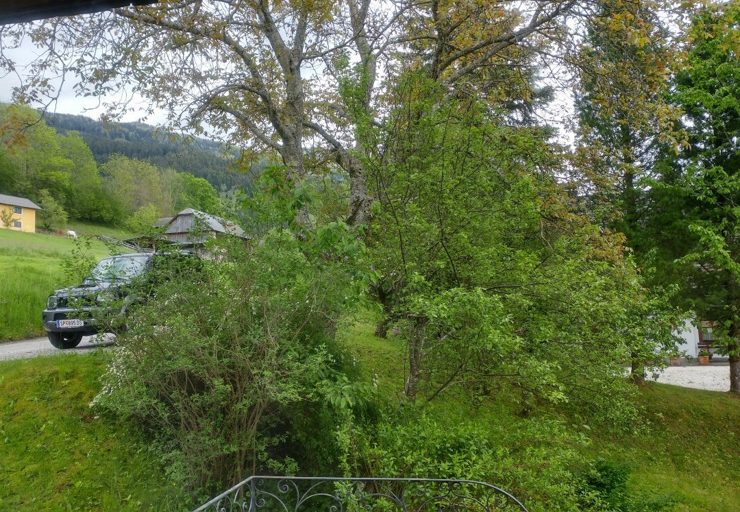 Naturhotel Alpenrose主图