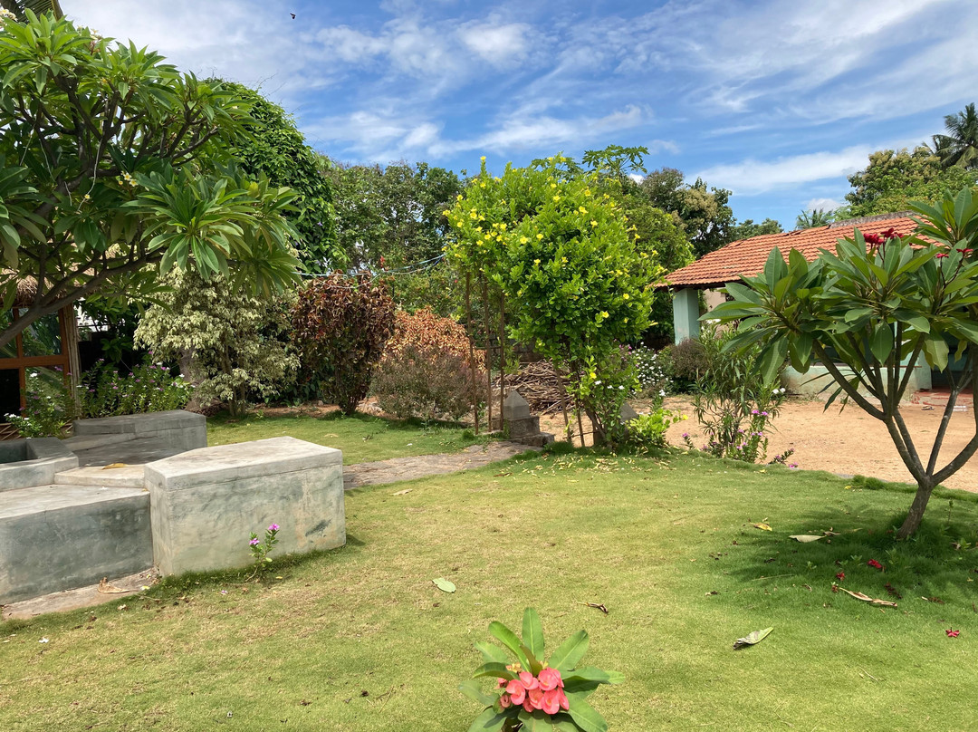 Little Banana Homestay