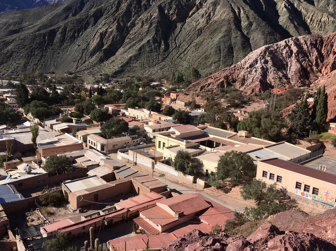 El Viejo Algarrobo主图