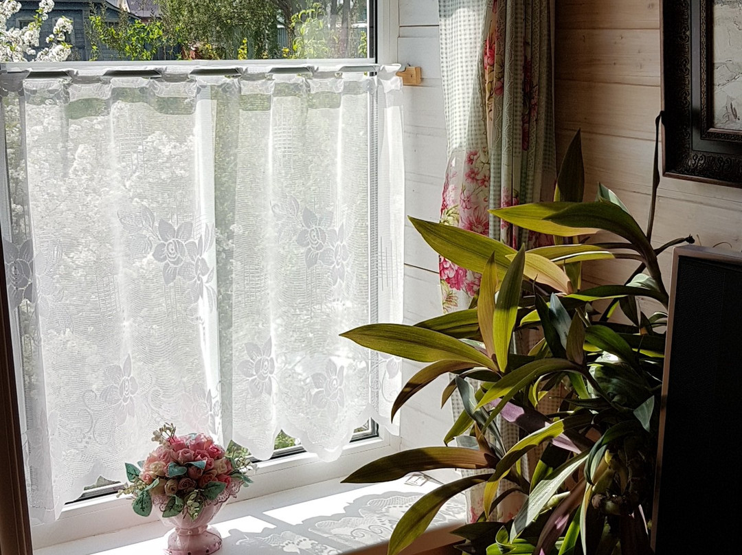 Guest House Petel主图