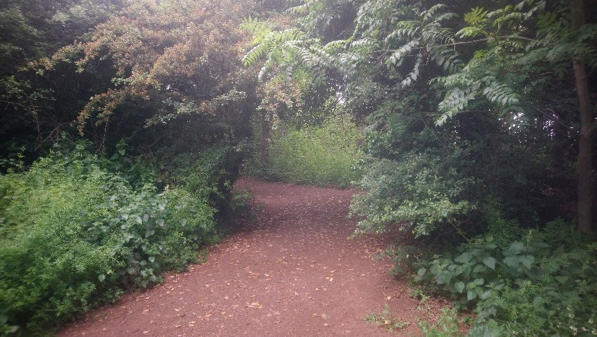 Hunsbury Hill Country Park景点图片