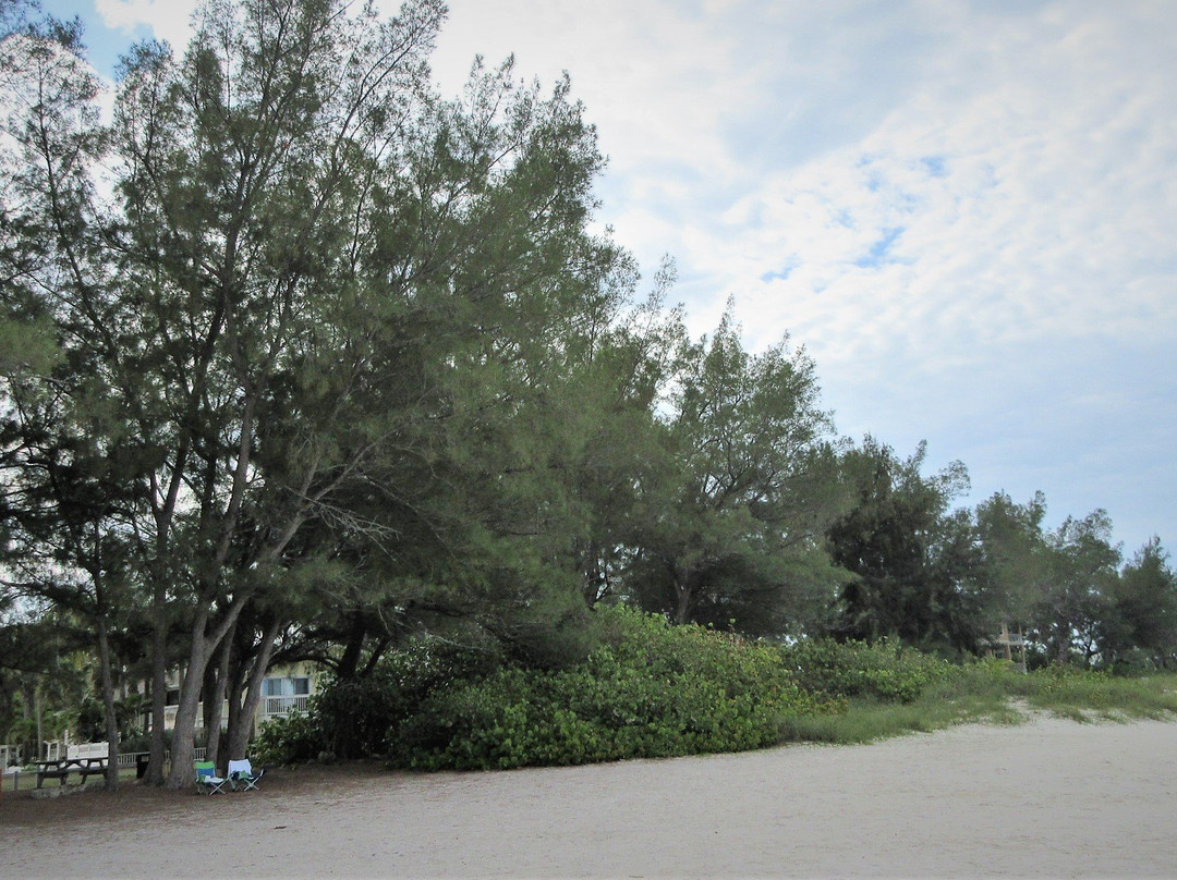 Manatee Beach Park景点图片