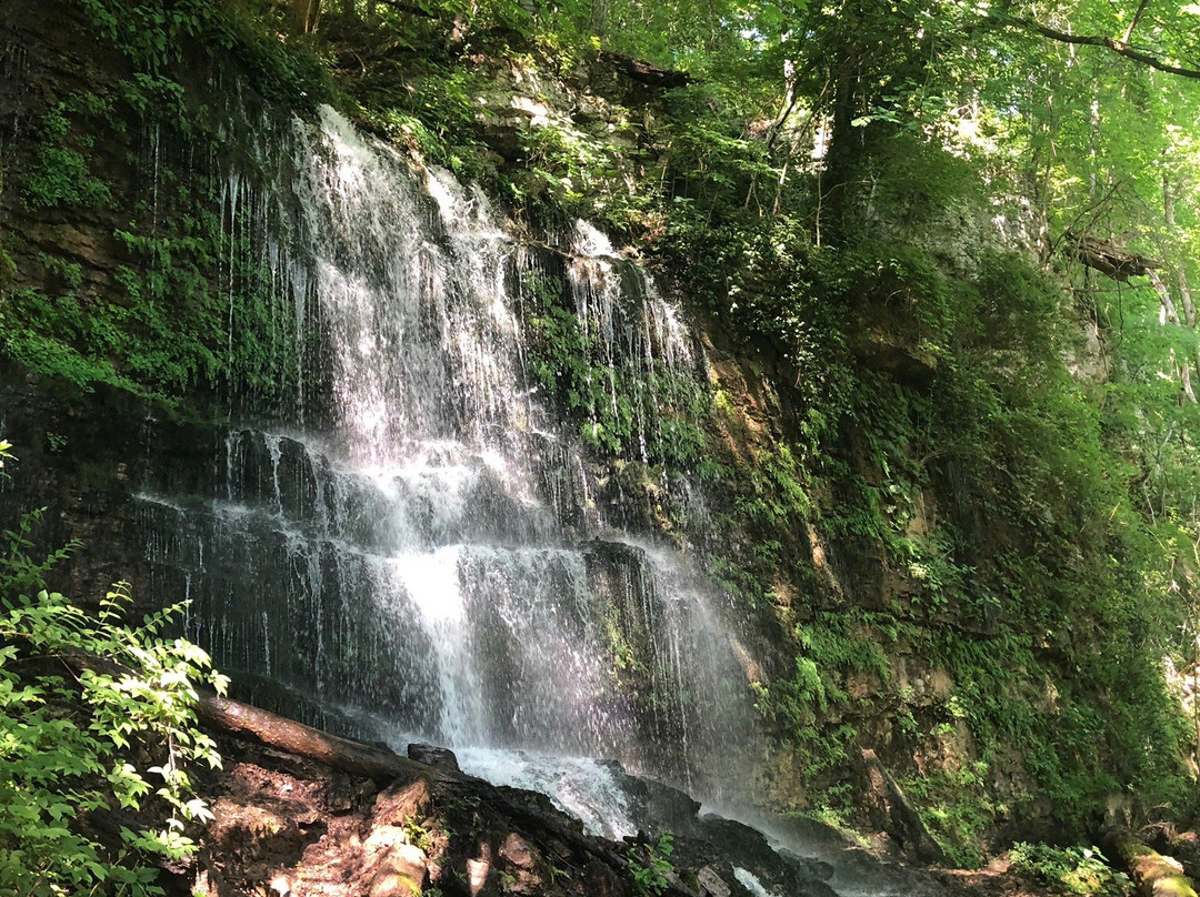 Cane Creek Falls-Spencer必去景点